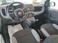 Fiat Panda 1.0 firefly hybrid 70 cv Grau - thumbnail 6