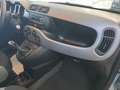 Fiat Panda 1.0 firefly hybrid 70 cv Grau - thumbnail 21
