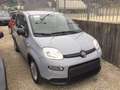 Fiat Panda 1.0 firefly hybrid 70 cv Grau - thumbnail 2