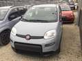 Fiat Panda 1.0 firefly hybrid 70 cv Grau - thumbnail 1