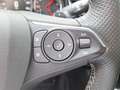 Opel Insignia Sports Tourer Navi Allwetter Panodach Grijs - thumbnail 17