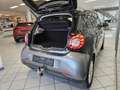 smart forFour passion Allwetter,Pano,AHK,Klima Gris - thumbnail 3