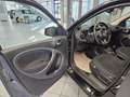 smart forFour passion Allwetter,Pano,AHK,Klima Gris - thumbnail 24