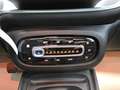 smart forFour passion Allwetter,Pano,AHK,Klima Gris - thumbnail 13