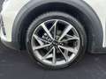 Kia Niro 1.6 GDi DCT HEV Style Bianco - thumbnail 14
