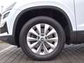 Skoda Karoq 2.0TDI AdBlue Ambition 4x4 DSG 110kW Blanco - thumbnail 5