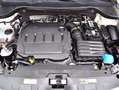Skoda Karoq 2.0TDI AdBlue Ambition 4x4 DSG 110kW Blanco - thumbnail 33