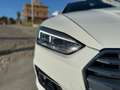 Audi A5 AUDI A5 SPB 40 TDI 190 CV SPORT FULL IVA ESPOSTA Wit - thumbnail 4