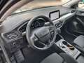 Ford Focus Focus Traveller 1,5 Titanium Aut.*SH*Ergo Sitz* Schwarz - thumbnail 14