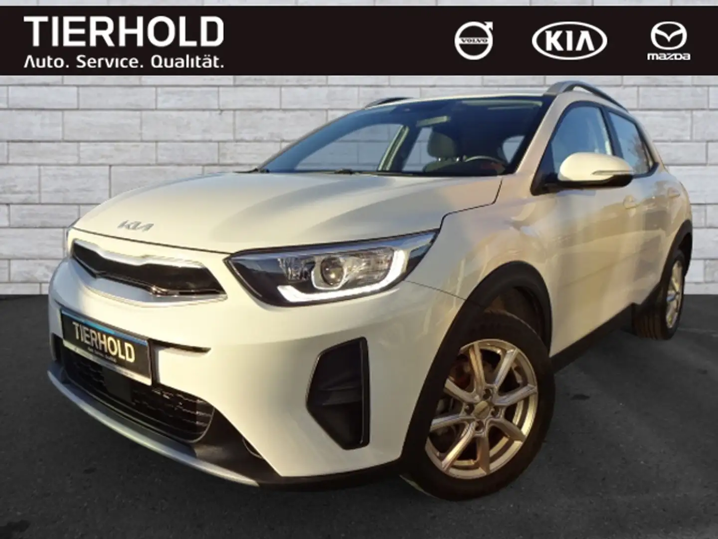 Kia Stonic 1,0 Vision AT Navi Kamera Sitz-&Lenkradhz Weiß - 2