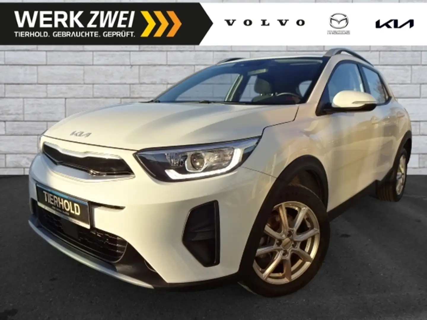 Kia Stonic 1,0 Vision AT Navi Kamera Sitz-&Lenkradhz Weiß - 1