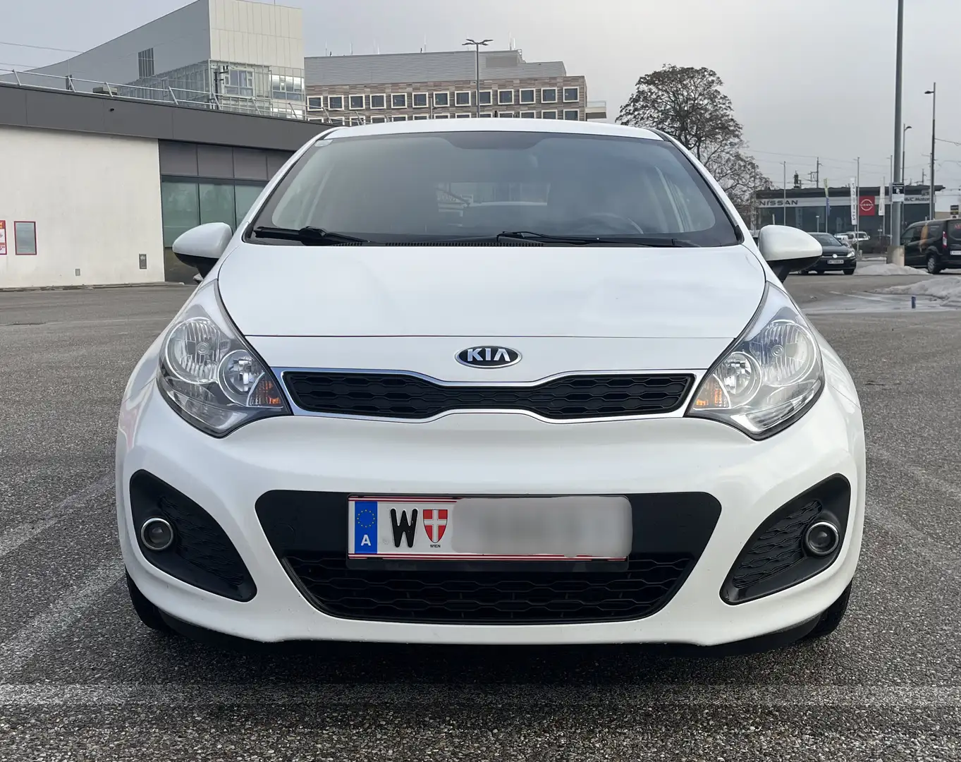 Kia Rio Rio 1,2 MPI Österreich Edition Österreich Edition Weiß - 1