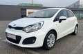 Kia Rio Rio 1,2 MPI Österreich Edition Österreich Edition Weiß - thumbnail 3