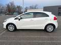 Kia Rio Rio 1,2 MPI Österreich Edition Österreich Edition Weiß - thumbnail 4