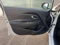 Kia Rio Rio 1,2 MPI Österreich Edition Österreich Edition Weiß - thumbnail 14