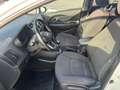 Kia Rio Rio 1,2 MPI Österreich Edition Österreich Edition Weiß - thumbnail 15