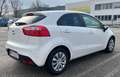 Kia Rio Rio 1,2 MPI Österreich Edition Österreich Edition Weiß - thumbnail 7