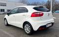 Kia Rio Rio 1,2 MPI Österreich Edition Österreich Edition Weiß - thumbnail 5