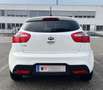 Kia Rio Rio 1,2 MPI Österreich Edition Österreich Edition Weiß - thumbnail 6