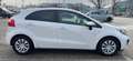 Kia Rio Rio 1,2 MPI Österreich Edition Österreich Edition Weiß - thumbnail 8