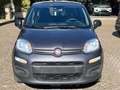 Fiat Panda 1.2 Benzina Neopatentati Grigio - thumbnail 10