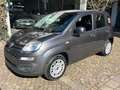 Fiat Panda 1.2 Benzina Neopatentati Grigio - thumbnail 1