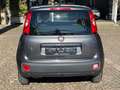 Fiat Panda 1.2 Benzina Neopatentati Grigio - thumbnail 12