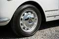 Alfa Romeo Spider 2000 Touring - Fully Restored Bianco - thumbnail 8