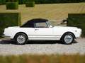 Alfa Romeo Spider 2000 Touring - Fully Restored Bianco - thumbnail 7