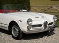 Alfa Romeo Spider 2000 Touring - Fully Restored Weiß - thumbnail 16
