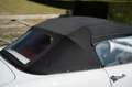 Alfa Romeo Spider 2000 Touring - Fully Restored Bianco - thumbnail 9