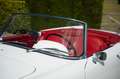 Alfa Romeo Spider 2000 Touring - Fully Restored Bianco - thumbnail 11