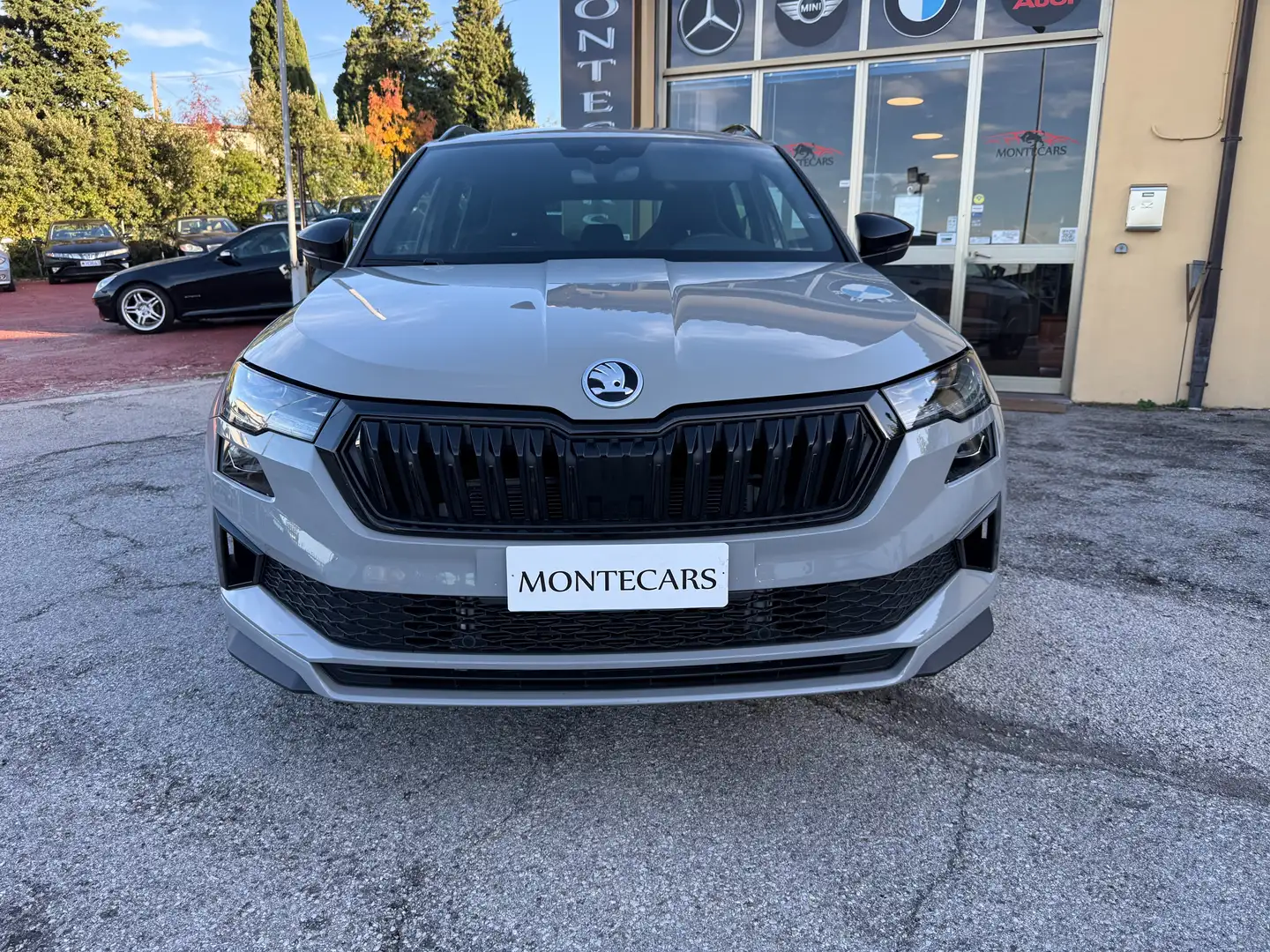 Skoda Karoq Karoq 1.5 tsi Sportline Grigio - 2