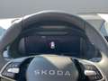 Skoda Kamiq Selection Grau - thumbnail 12