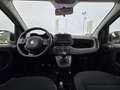 Fiat Panda Panda III 2021 1.0 firefly hybrid s - IVA ESPOSTA Weiß - thumbnail 11