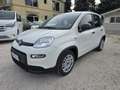 Fiat Panda Panda III 2021 1.0 firefly hybrid s - IVA ESPOSTA Weiß - thumbnail 3