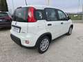 Fiat Panda Panda III 2021 1.0 firefly hybrid s - IVA ESPOSTA Weiß - thumbnail 7