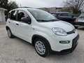 Fiat Panda Panda III 2021 1.0 firefly hybrid s - IVA ESPOSTA Weiß - thumbnail 1