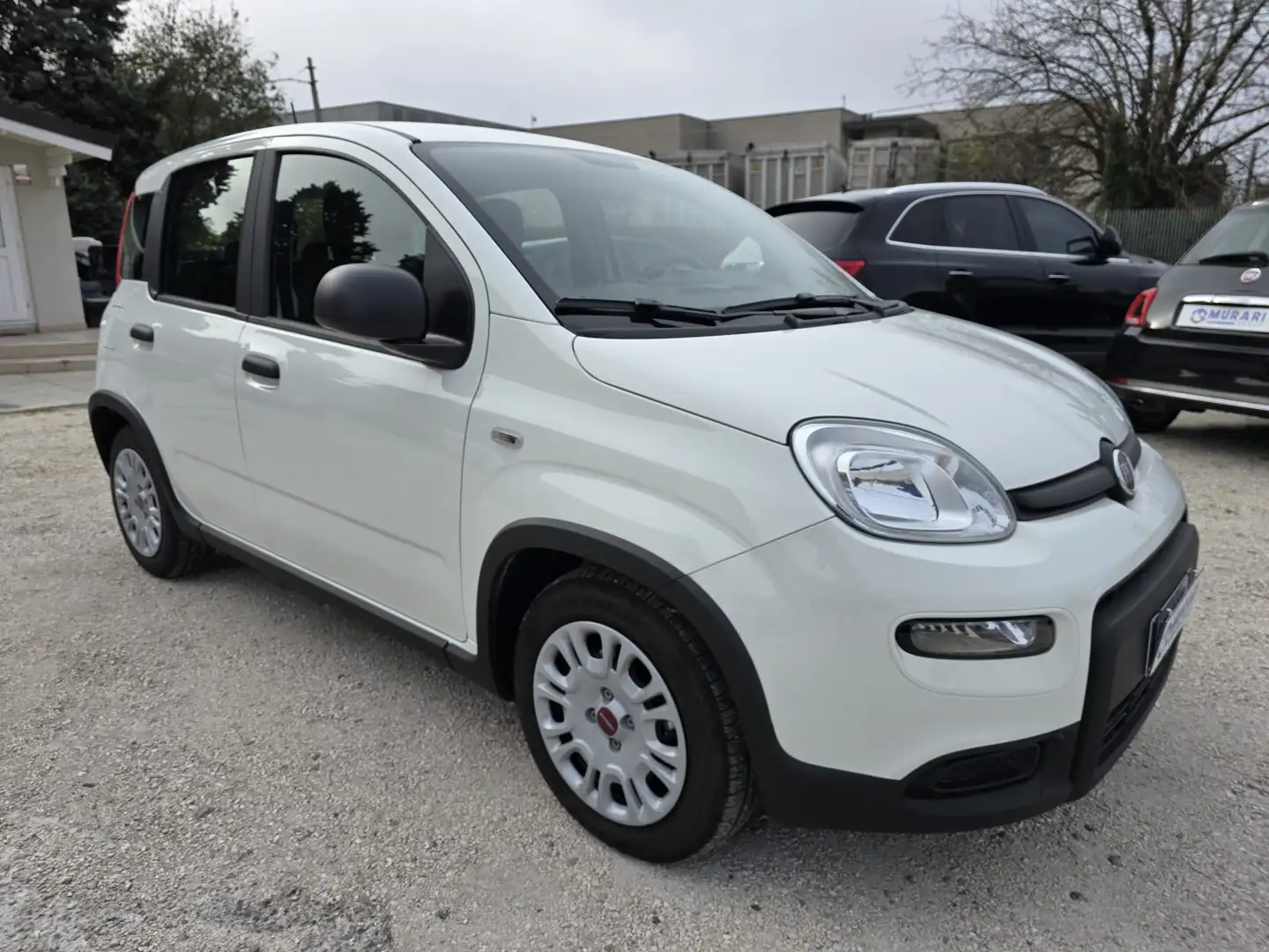 Fiat Panda Panda III 2021 1.0 firefly hybrid s - IVA ESPOSTA Weiß - 1