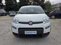 Fiat Panda Panda III 2021 1.0 firefly hybrid s - IVA ESPOSTA Weiß - thumbnail 2