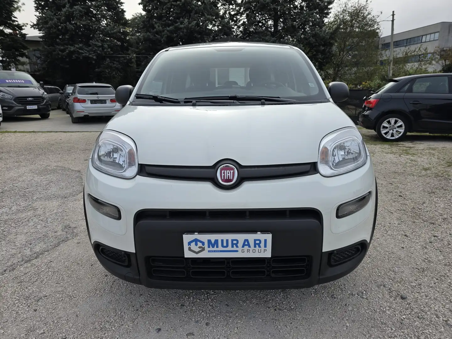 Fiat Panda Panda III 2021 1.0 firefly hybrid s - IVA ESPOSTA Weiß - 2