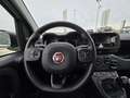 Fiat Panda Panda III 2021 1.0 firefly hybrid s - IVA ESPOSTA Weiß - thumbnail 10