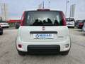 Fiat Panda Panda III 2021 1.0 firefly hybrid s - IVA ESPOSTA Weiß - thumbnail 6