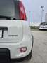 Fiat Panda Panda III 2021 1.0 firefly hybrid s - IVA ESPOSTA Weiß - thumbnail 9