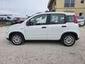 Fiat Panda Panda III 2021 1.0 firefly hybrid s - IVA ESPOSTA Weiß - thumbnail 4