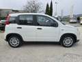 Fiat Panda Panda III 2021 1.0 firefly hybrid s - IVA ESPOSTA Weiß - thumbnail 8