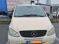 Mercedes-Benz Vito 115 CDI 4x4 Extralang DPF Aut. Žlutá - thumbnail 4