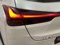 Lexus UX 300e Eco Weiß - thumbnail 19