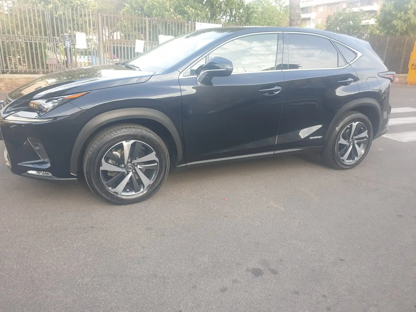 Lexus NX 300h luxury full optional - 2
