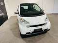 smart forTwo Fortwo II  1.0 mhd Pulse 71cv*NEOPATENTATI* Bianco - thumbnail 3